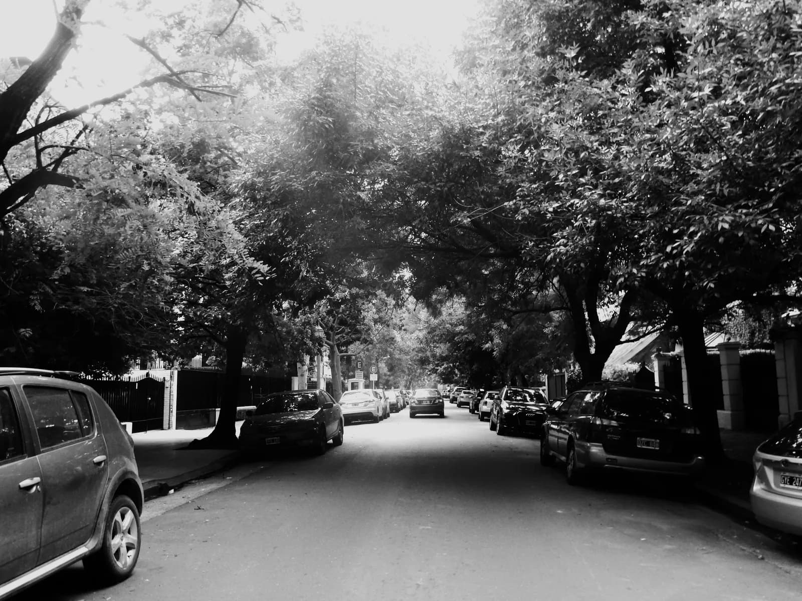 Calle arbolada Mariscal Ramón Castilla en Palermo Chico